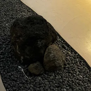 카페 검을현 대표 사진