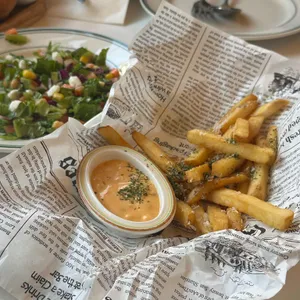 놉스 대표 사진