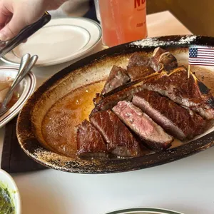 놉스 대표 사진