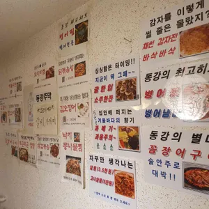 동강주막호프 리뷰 사진