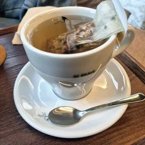 비브레이브 대표 사진