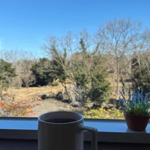 보통 대표 사진