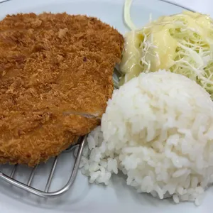 국수나무 대표 사진