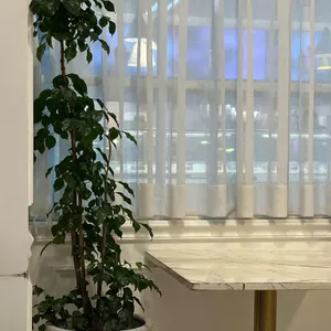 앨리스토리 대표 사진