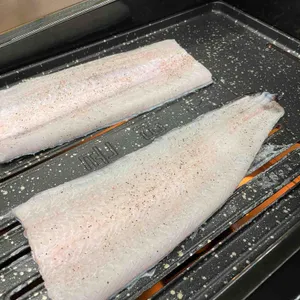 황금민물장어 사진 1