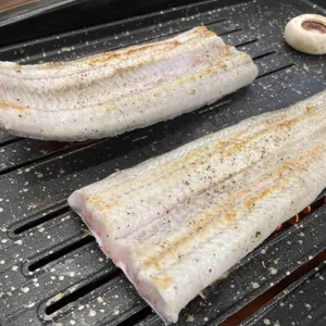 황금민물장어 사진 2