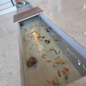 컬러인커피 대표 사진