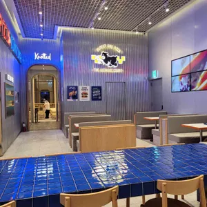 다운타우너 대표 사진