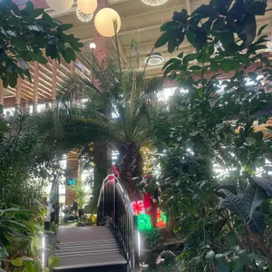 포레스트 아웃팅스 대표 사진