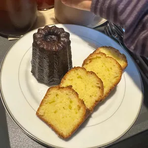 논플랫 대표 사진