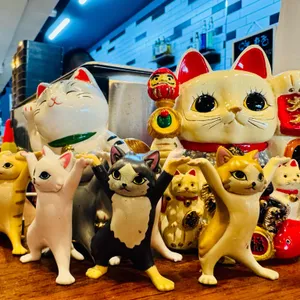 카타나 하나 리뷰 사진