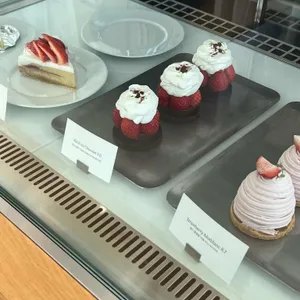 세로브 리뷰 사진