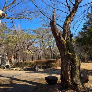 인주카페 리뷰 사진