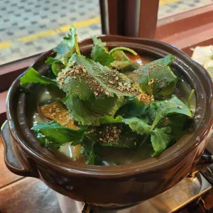 휴케라 대표 사진