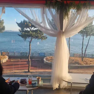 월도리684 대표 사진