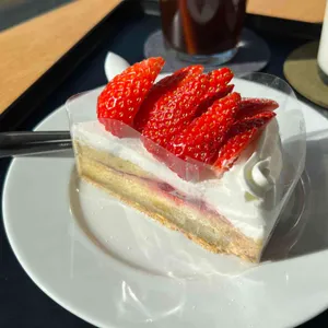 세로브 대표 사진