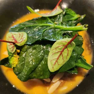 소우트 대표 사진