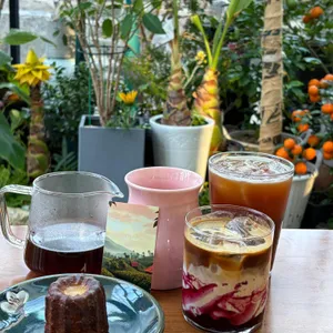 라이트 빈 대표 사진