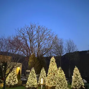 어스17 대표 사진