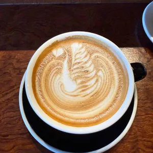 콰이어트라이트 대표 사진