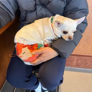 콰이어트라이트 대표 사진