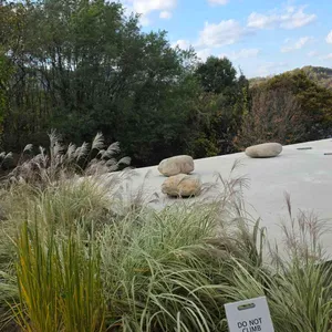 콘크리트월 리뷰 사진