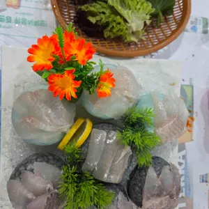 늘푸른바다 사진