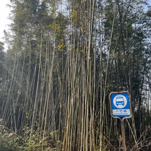 소죽림 리뷰 사진