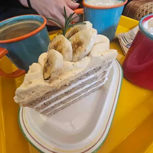 카페 거북이 사진