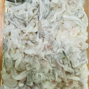 생스쿠바횟집 대표 사진