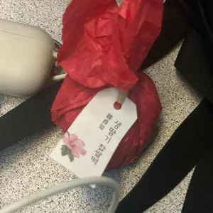 한정선 녹 사진