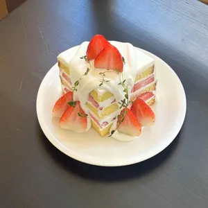 Paulette 대표 사진