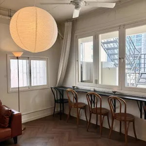 Paulette 대표 사진