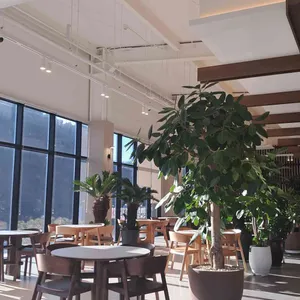 다향원 대표 사진