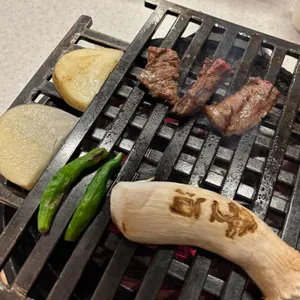 백송 대표 사진