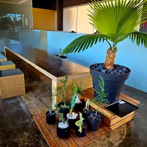 비클래시 리뷰 사진