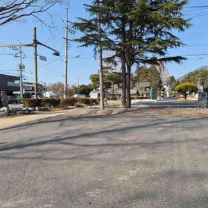 북경반점 리뷰 사진