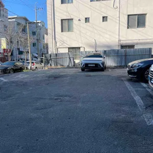 말랑한입 리뷰 사진