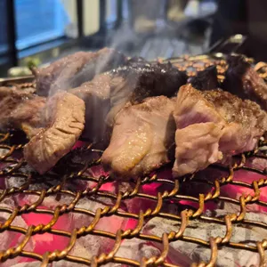 양기와 대표 사진