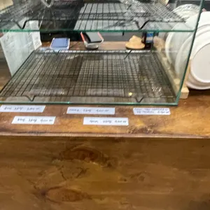 이엠와이커피  리뷰 사진