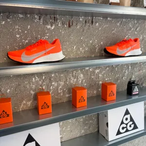 더 반 베를린 사진 2