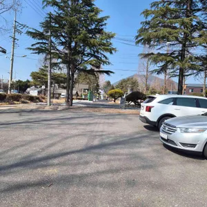 북경반점 리뷰 사진