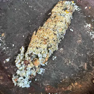 천진동만두전골 리뷰 사진