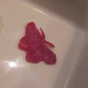 라쿠 대표 사진