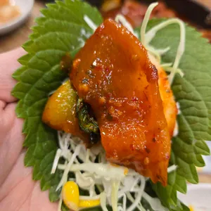 조가네갑오징어 사진