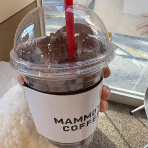 매머드익스프레스 사진