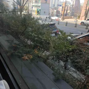 스타벅스 대표 사진