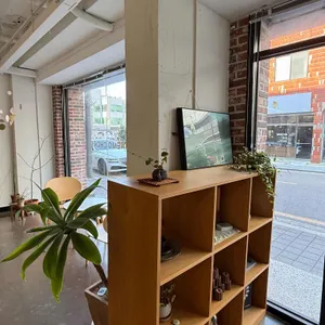 어네모코 대표 사진