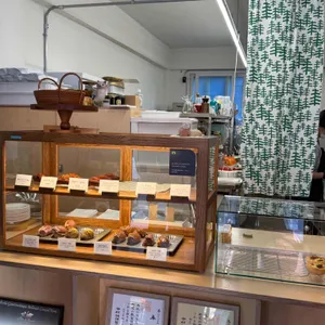 어네모코 대표 사진