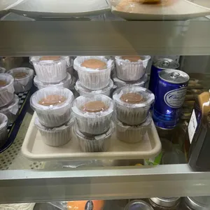 보드라미 대표 사진